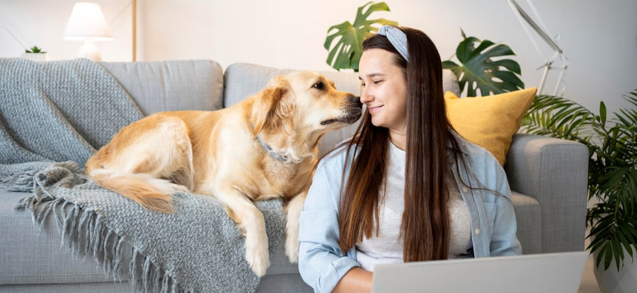 Dog Food for Kidney Disease: Low Protein and Low Phosphorus Explained