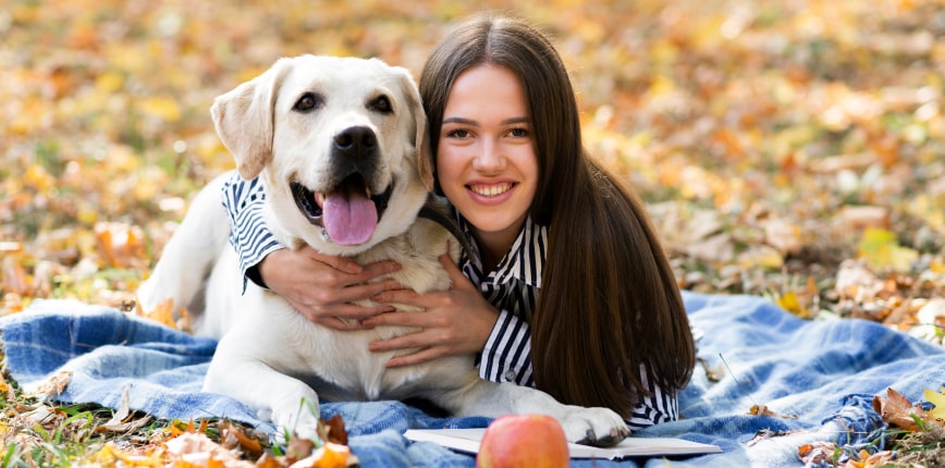 Low Fat Dog Food for Pancreatitis –  Why Low Fat?