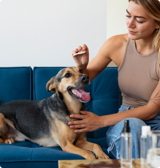Best Dog Food for Allergies: Hydrolyzed vs. Limited Ingredient Diets