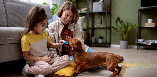 What is the Best Dog Food for Dogs with Allergies?