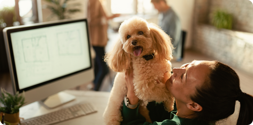 Why a Low Protein Diet for Kidney Disease in Dogs? What are other important features?