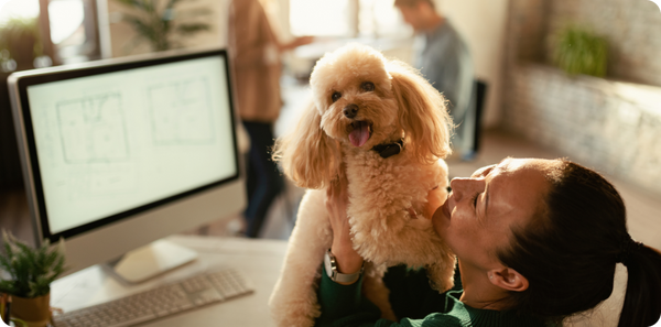 Why a Low Protein Diet for Kidney Disease in Dogs? What are other important features?