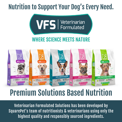 VFS® IDEAL DIGESTION