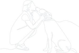 Sidebar Graphic
