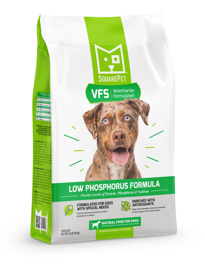 Kidney Health Dog Food: Boost Your Pet's Vitality